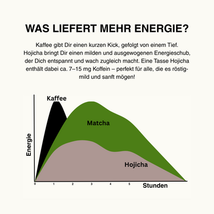 Hojicha pulver Grafik mit Koffein vergleich 
